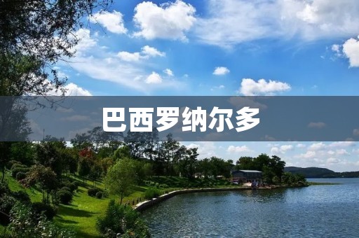 巴西罗纳尔多:足球史上最伟大的射手之一 巴西罗纳尔多:足球史上最伟大的射手之一