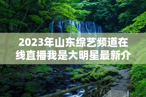 2023年山东综艺频道在线直播我是大明星最新介绍