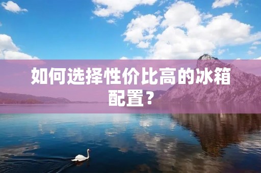如何选择性价比高的冰箱配置? 如何选择性价比高的冰箱配置?