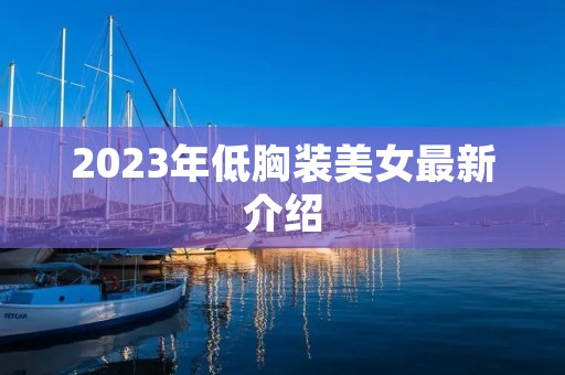 2023年低胸装美女最新介绍