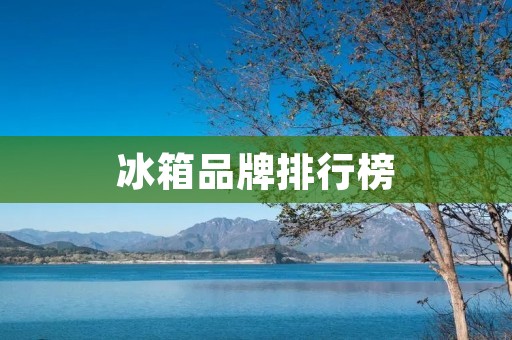 冰箱品牌排行榜：哪些品牌的质量更好？