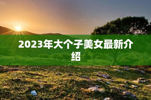 2023年大个子美女最新介绍