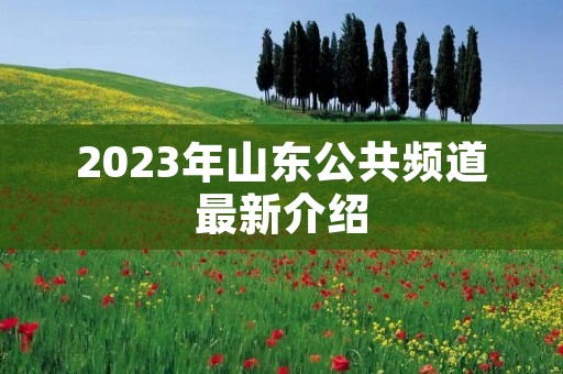 2023年山东公共频道最新介绍