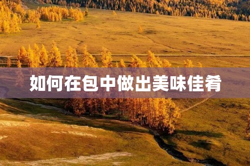 如何在包中做出美味佳肴 如何在包中做出美味佳肴