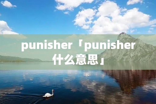 punisher「punisher什么意思」