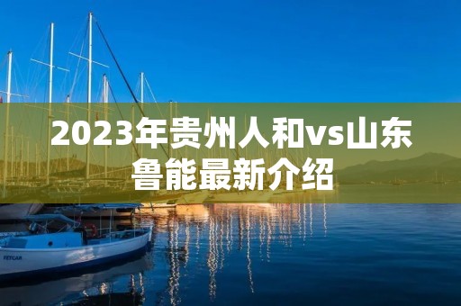2023年贵州人和vs山东鲁能最新介绍 2023年贵州人和vs山东鲁能最新介绍