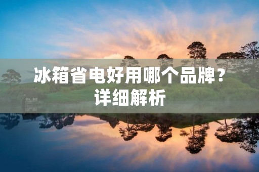 冰箱省电好用哪个品牌?详细解析 冰箱省电好用哪个品牌?详细解析