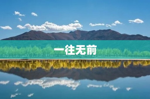 一往无前：追寻梦想的路上
