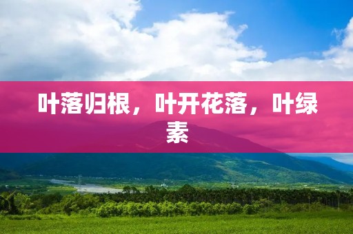 叶落归根，叶开花落，叶绿素