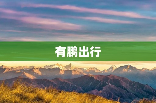 有鹏出行：让出行更加便捷