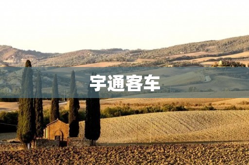 宇通客车:中国客车行业中的领军企业 宇通客车:中国客车行业中的领军企业