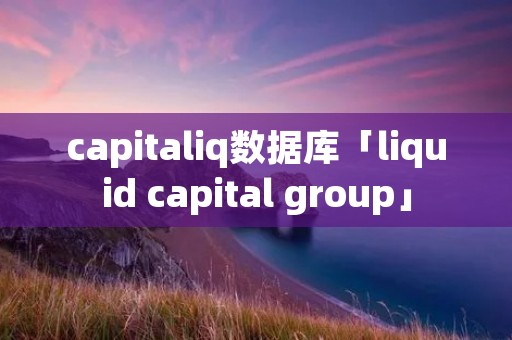 capitaliq数据库「liquid capital group」