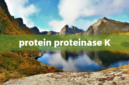 protein proteinase K