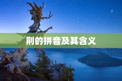 荆的拼音及其含义