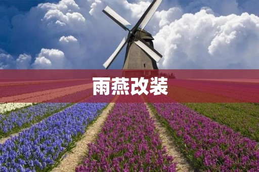 雨燕改装:让你的小钢炮更加强悍 雨燕改装:让你的小钢炮更加强悍