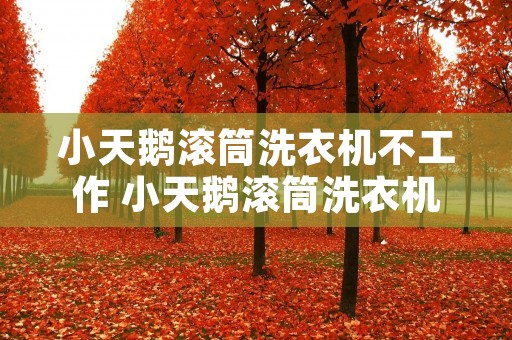 小天鹅滚筒洗衣机不工作 小天鹅滚筒洗衣机不工作怎么解决 小天鹅滚筒洗衣机不工作 小天鹅滚筒洗衣机不工作怎么解决