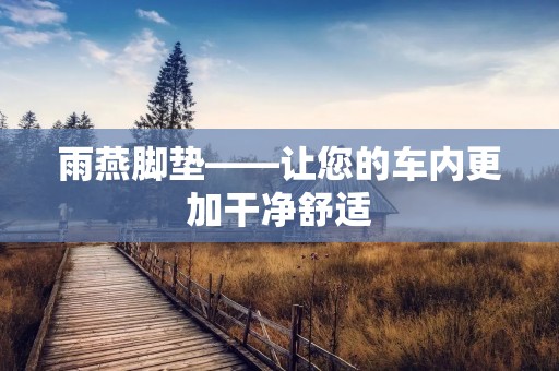 雨燕脚垫——让您的车内更加干净舒适 雨燕脚垫——让您的车内更加干净舒适