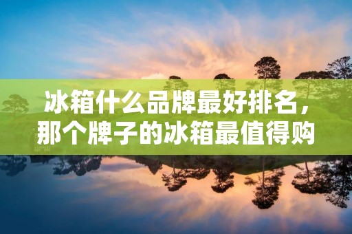 冰箱什么品牌最好排名，那个牌子的冰箱最值得购买？