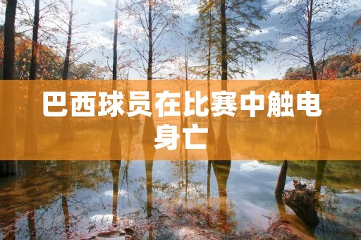 巴西球员在比赛中触电身亡：安全问题亟待解决