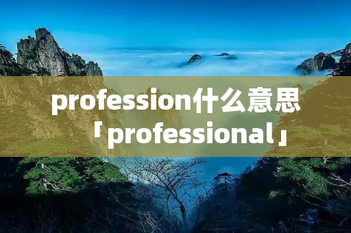 profession什么意思「professional」