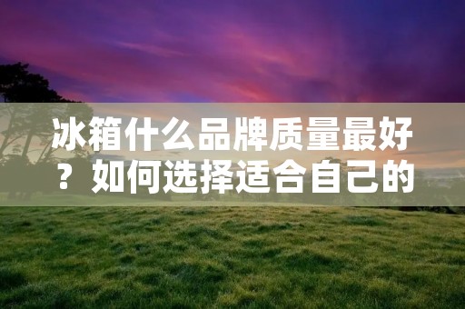 冰箱什么品牌质量最好?如何选择适合自己的冰箱? 冰箱什么品牌质量最好?如何选择适合自己的冰箱?