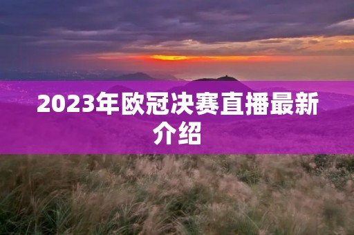2023年欧冠决赛直播最新介绍