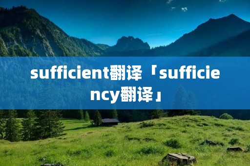 sufficient翻译「sufficiency翻译」