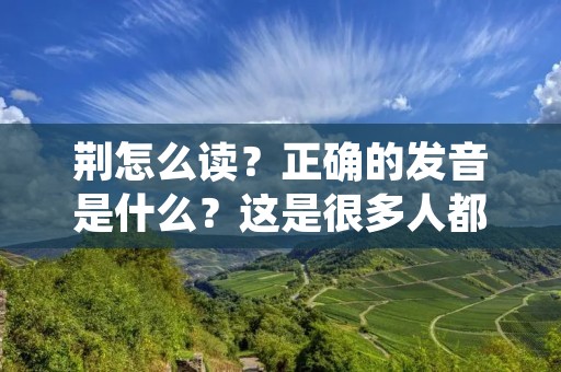 荆怎么读?正确的发音是什么?这是很多人都想知道的问题。荆字在汉字中的使用频率很高,是一个非常常见的字,但是由于汉字的多音字特性,所以荆字的读音也有很多种。下面就来详细介绍荆字的读音及其发音规律。 荆怎么读?正确的发音是什么?这是很多人都想知道的问题。荆字在汉字中的使用频率很高,是一个非常常见的字,但是由于汉字的多音字特性,所以荆字的读音也有很多种。下面就来详细介绍荆字的读音及其发音规律。