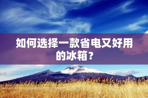 如何选择一款省电又好用的冰箱? 如何选择一款省电又好用的冰箱?
