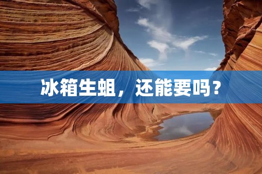 冰箱生蛆,还能要吗? 冰箱生蛆,还能要吗?