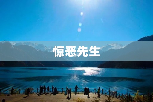 惊恶先生：一个充满惊喜和恐惧的世界