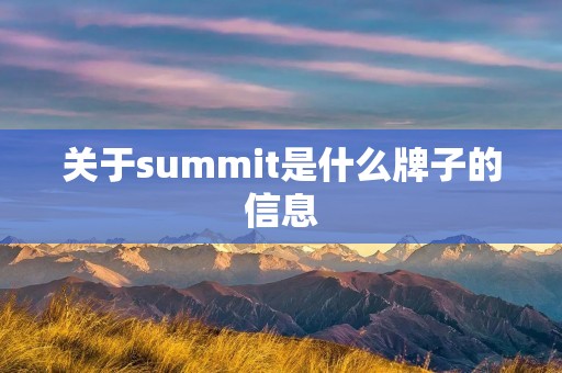 关于summit是什么牌子的信息