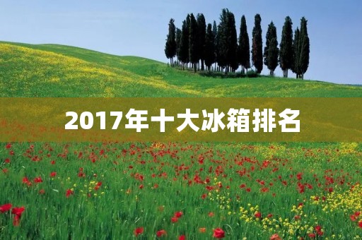 2017年十大冰箱排名:品牌与性价比并存,选择更加多样化 2017年十大冰箱排名:品牌与性价比并存,选择更加多样化