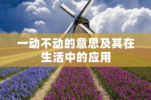 一动不动的意思及其在生活中的应用