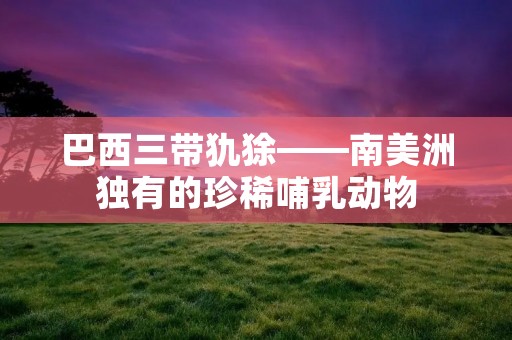 巴西三带犰狳——南美洲独有的珍稀哺乳动物