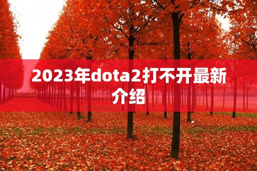 2023年dota2打不开最新介绍 2023年dota2打不开最新介绍