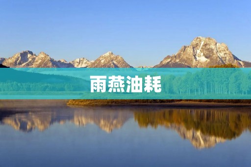雨燕油耗:如何降低汽车油耗 雨燕油耗:如何降低汽车油耗
