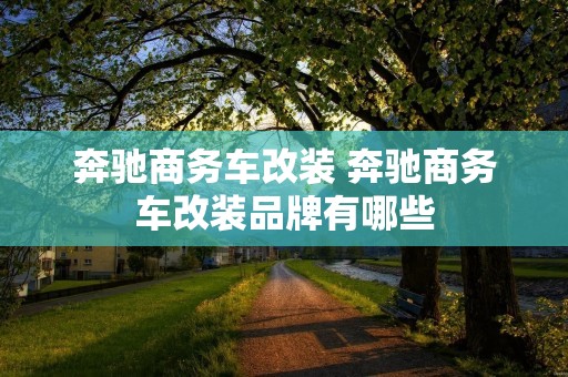 奔驰商务车改装 奔驰商务车改装品牌有哪些 奔驰商务车改装 奔驰商务车改装品牌有哪些