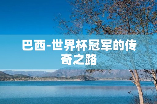 巴西-世界杯冠军的传奇之路 巴西-世界杯冠军的传奇之路