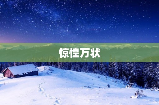 惊惶万状：突发事件下的应对与救援