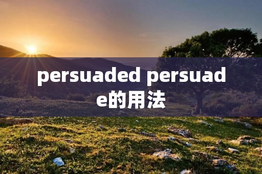 persuaded persuade的用法