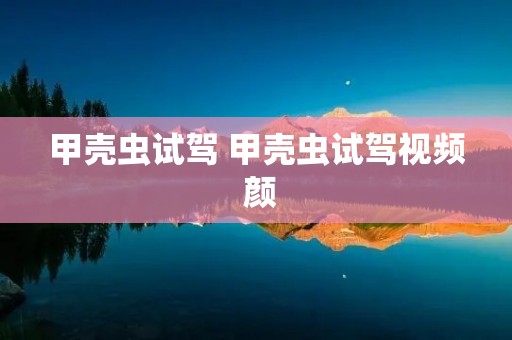 甲壳虫试驾 甲壳虫试驾视频 颜 甲壳虫试驾 甲壳虫试驾视频 颜