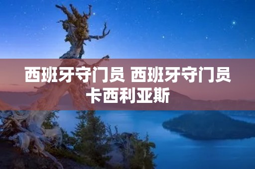 西班牙守门员 西班牙守门员卡西利亚斯