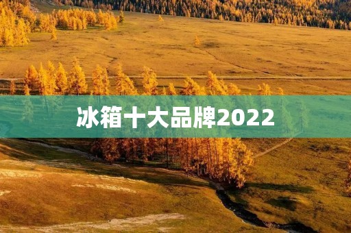 冰箱十大品牌2022:科技与品质的完美融合 冰箱十大品牌2022:科技与品质的完美融合
