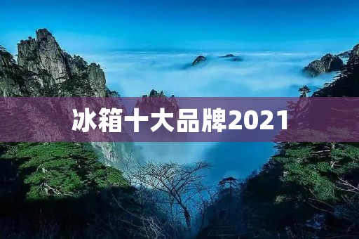 冰箱十大品牌2021:质量与服务并重,选对品牌更省心 冰箱十大品牌2021:质量与服务并重,选对品牌更省心