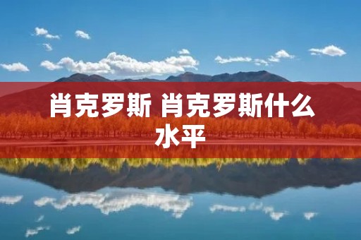 肖克罗斯 肖克罗斯什么水平