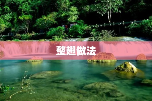 整翅做法：让你轻松掌握制作美味整翅的技巧