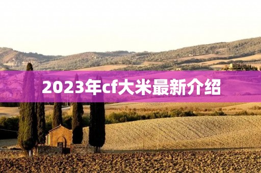 2023年cf大米最新介绍