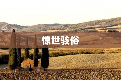 惊世骇俗:恶俗文化的崛起 惊世骇俗:恶俗文化的崛起