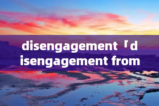 disengagement「disengagement from」 disengagement「disengagement from」